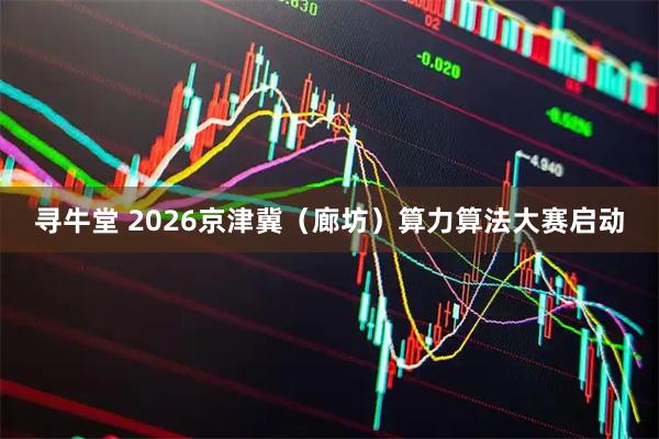 寻牛堂 2026京津冀（廊坊）算力算法大赛启动